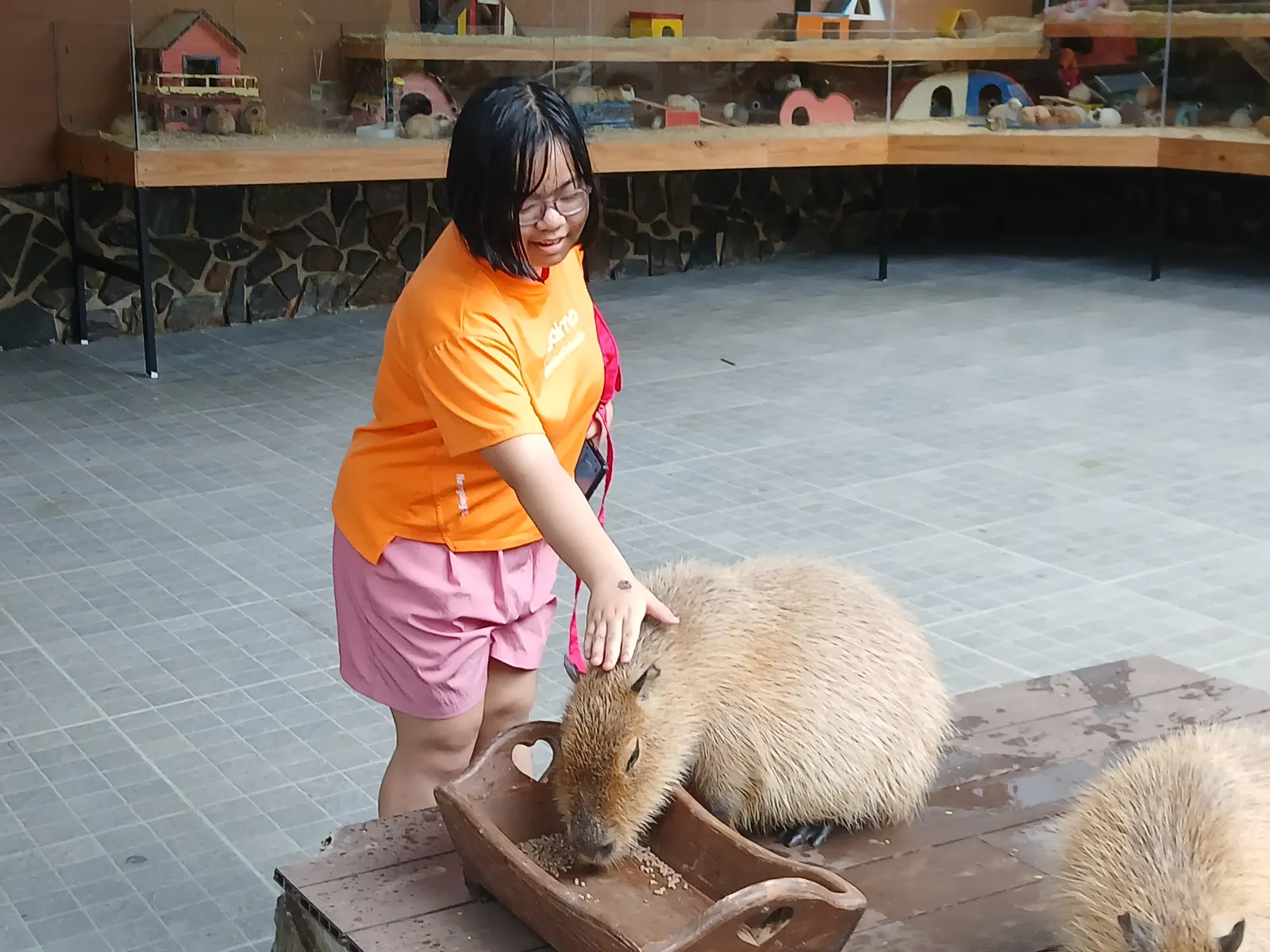 Meeting a capybara at an animal park near Đà Lạt