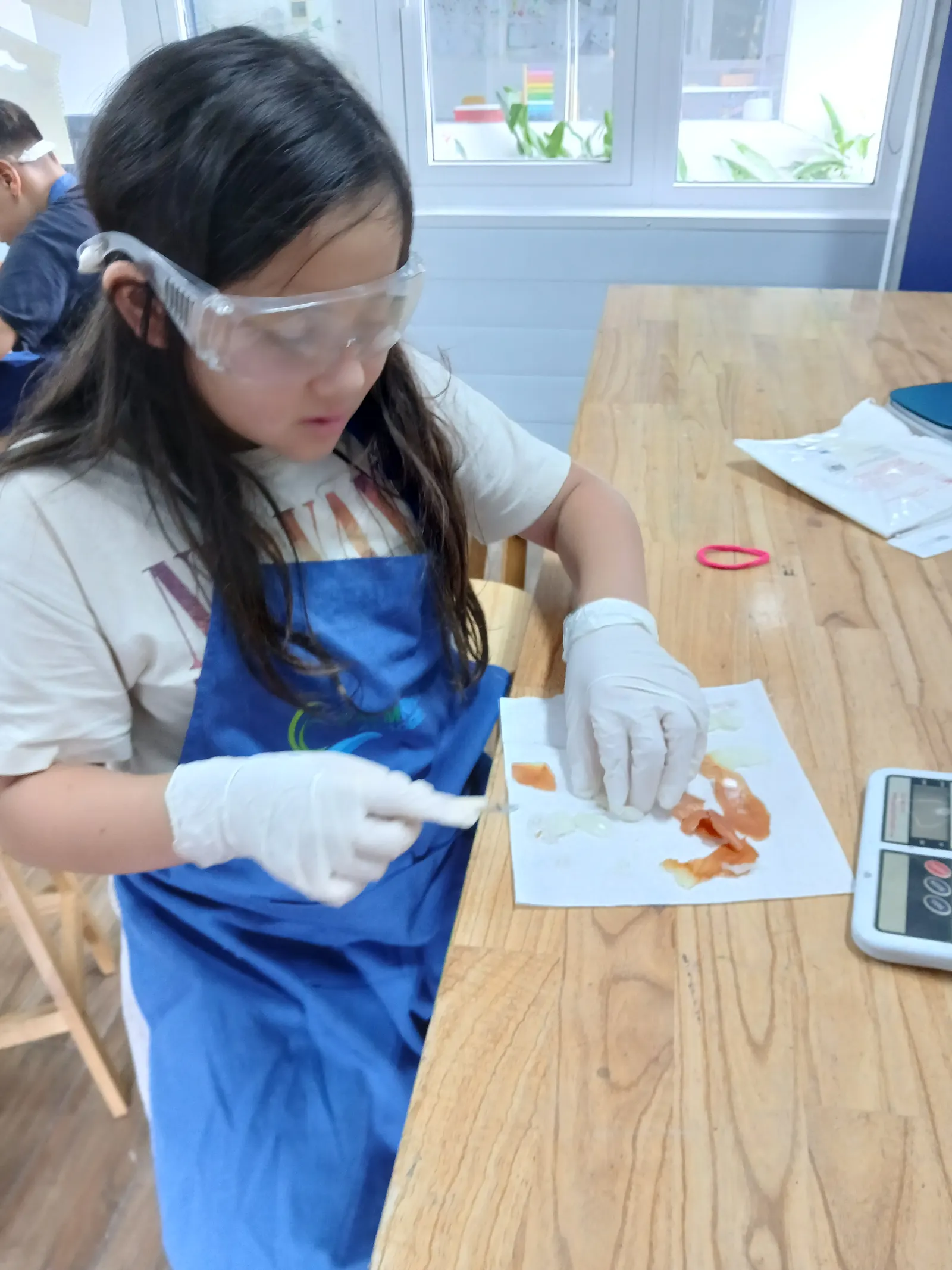 A Lower Secondary student in goggles, gloves and apron preparing a sample in the lab